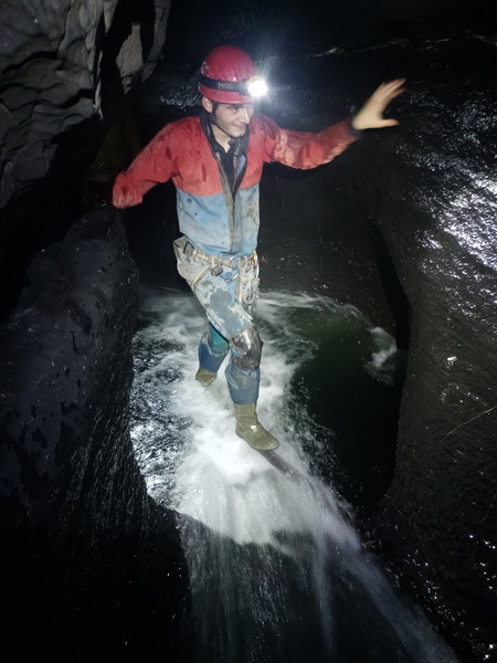 Thumbnail of photo from this article